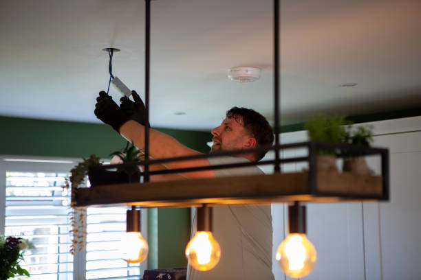 Best Electric Panel Repair  in , IA